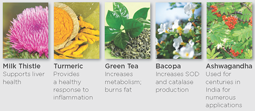 Ingredients in Protandim